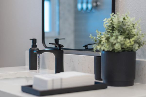 Matte black faucet detail in guest bathroom